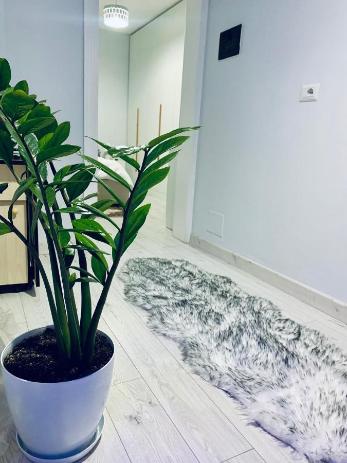 Cozy Corner Apartment Tirana Exterior photo