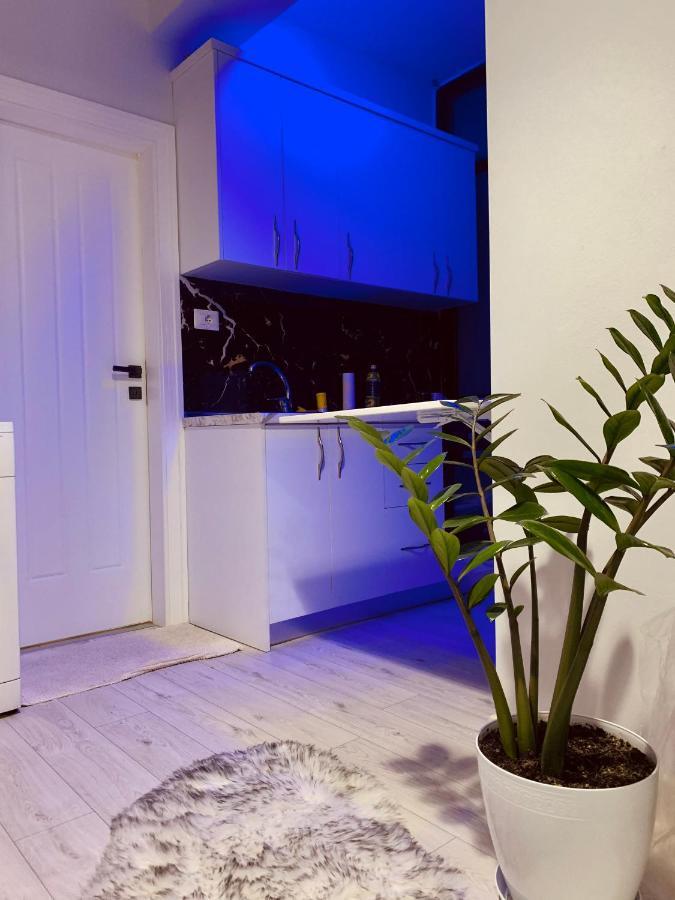 Cozy Corner Apartment Tirana Exterior photo
